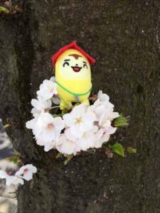 桜に埋もれる