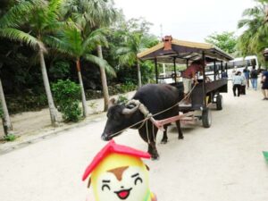 牛車