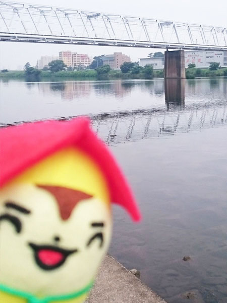 多摩川 京王相模原線陸橋