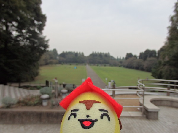 市民の森