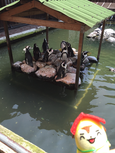 ペンギン