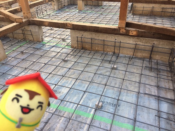 基礎背筋２
