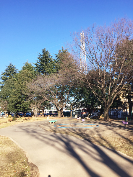 つつじヶ丘公園全景