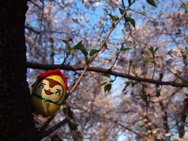 別所沼公園夕日