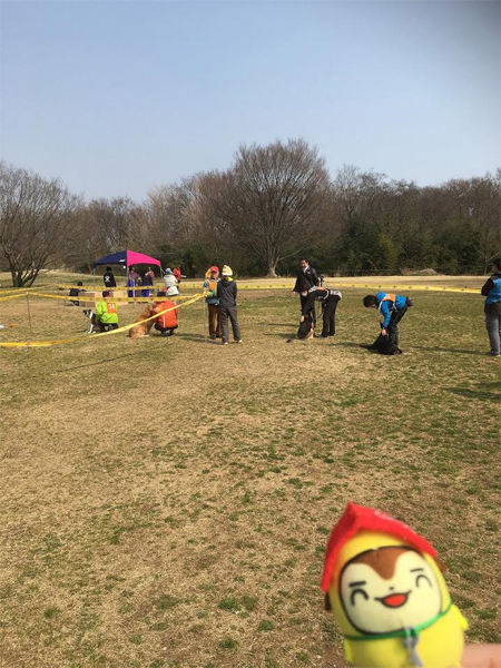 秋ヶ瀬公園・警察犬審査会なンダ！