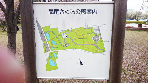 北本市高尾さくら公園案内
