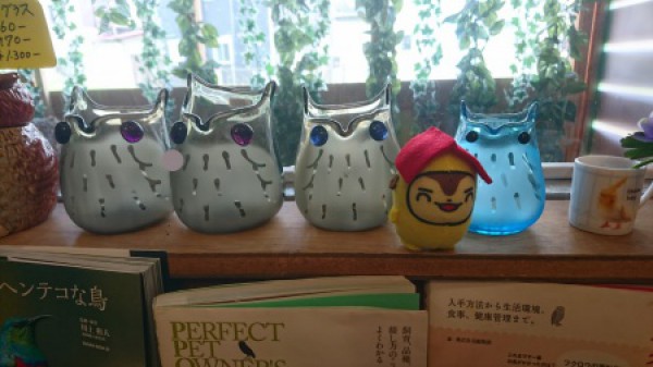 ふくろう茶房店内
