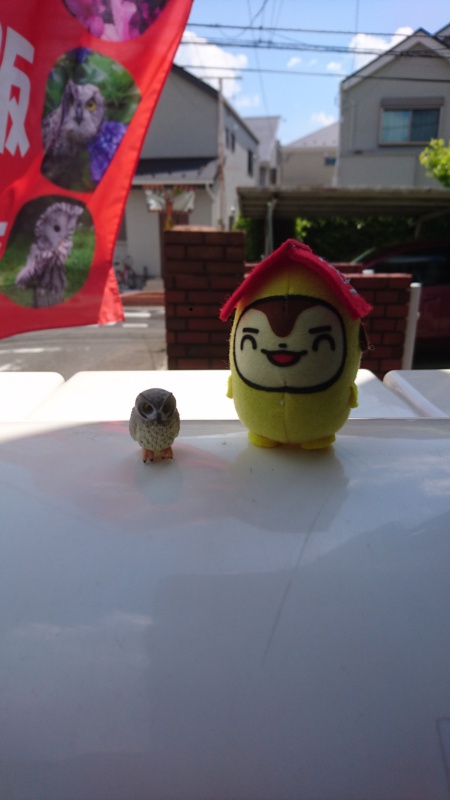 アフリカオオコノハズクフィギュア