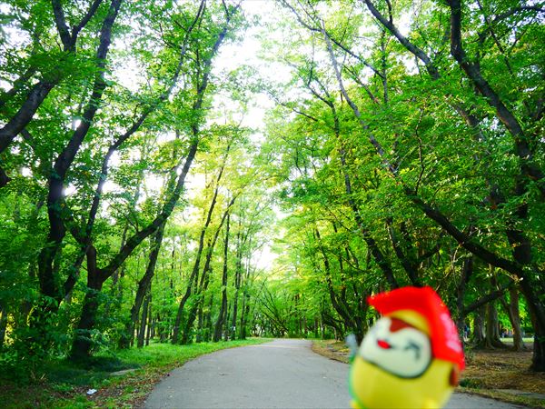 秋ヶ瀬公園