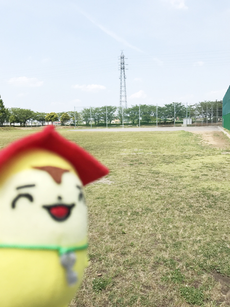 ふれあいの森公園グランド