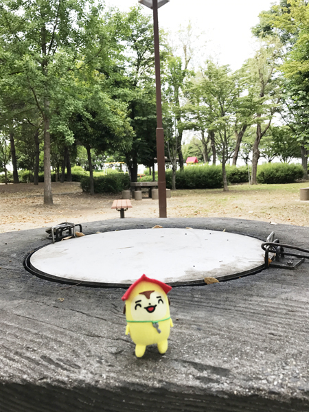 ふれあいの森公園中