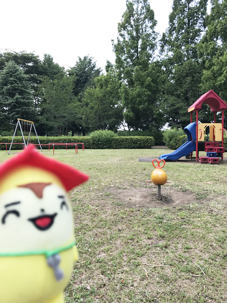 ふれあいの森公園遊具
