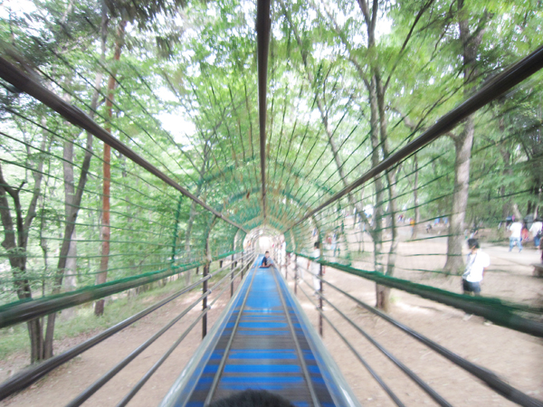 森林公園　滑り台中