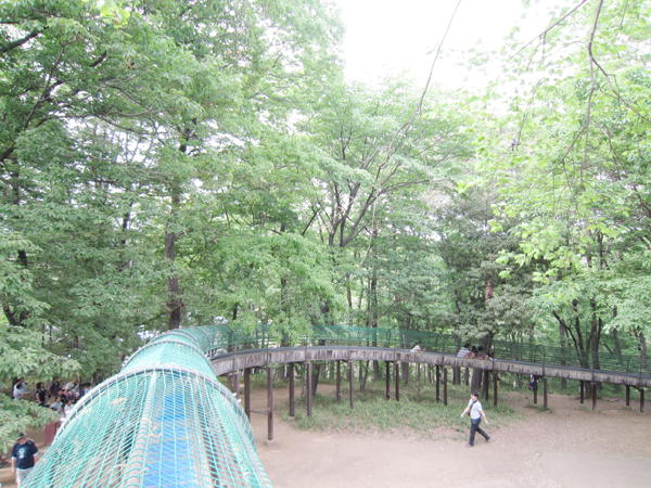 森林公園　滑り台