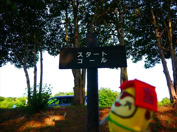 秋ヶ瀬公園ジョギングコース